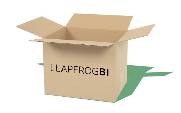 LeapfrogBI box