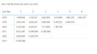 loss triangle report