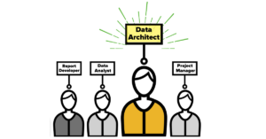 data architect in the data team