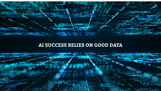 AI Success Relies on Good Data
